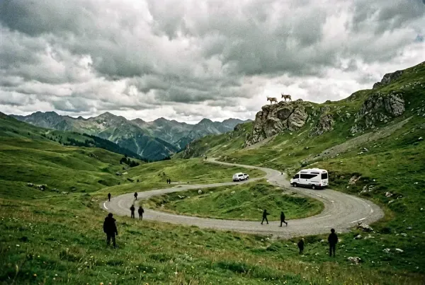 Schweizer Hochalm über 2000 Metern mit zwei Steinböcken auf Felsvorsprung und entferntem Wohnmobil